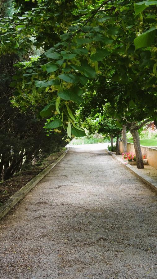 La Bastide Des Roses Bed and Breakfast Saint-Julien-d'Asse Buitenkant foto