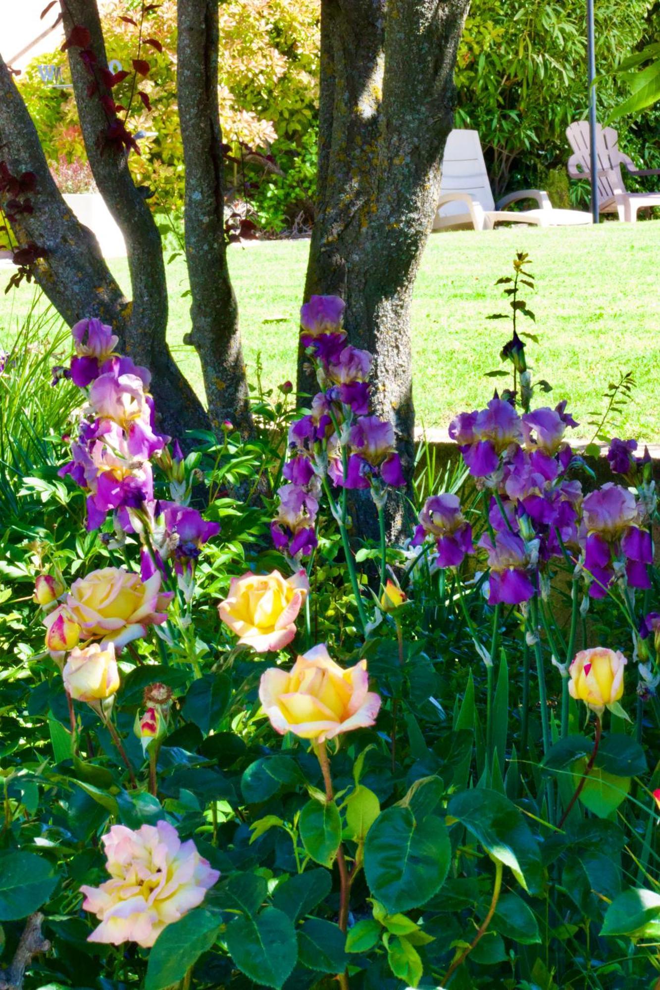 La Bastide Des Roses Bed and Breakfast Saint-Julien-d'Asse Buitenkant foto