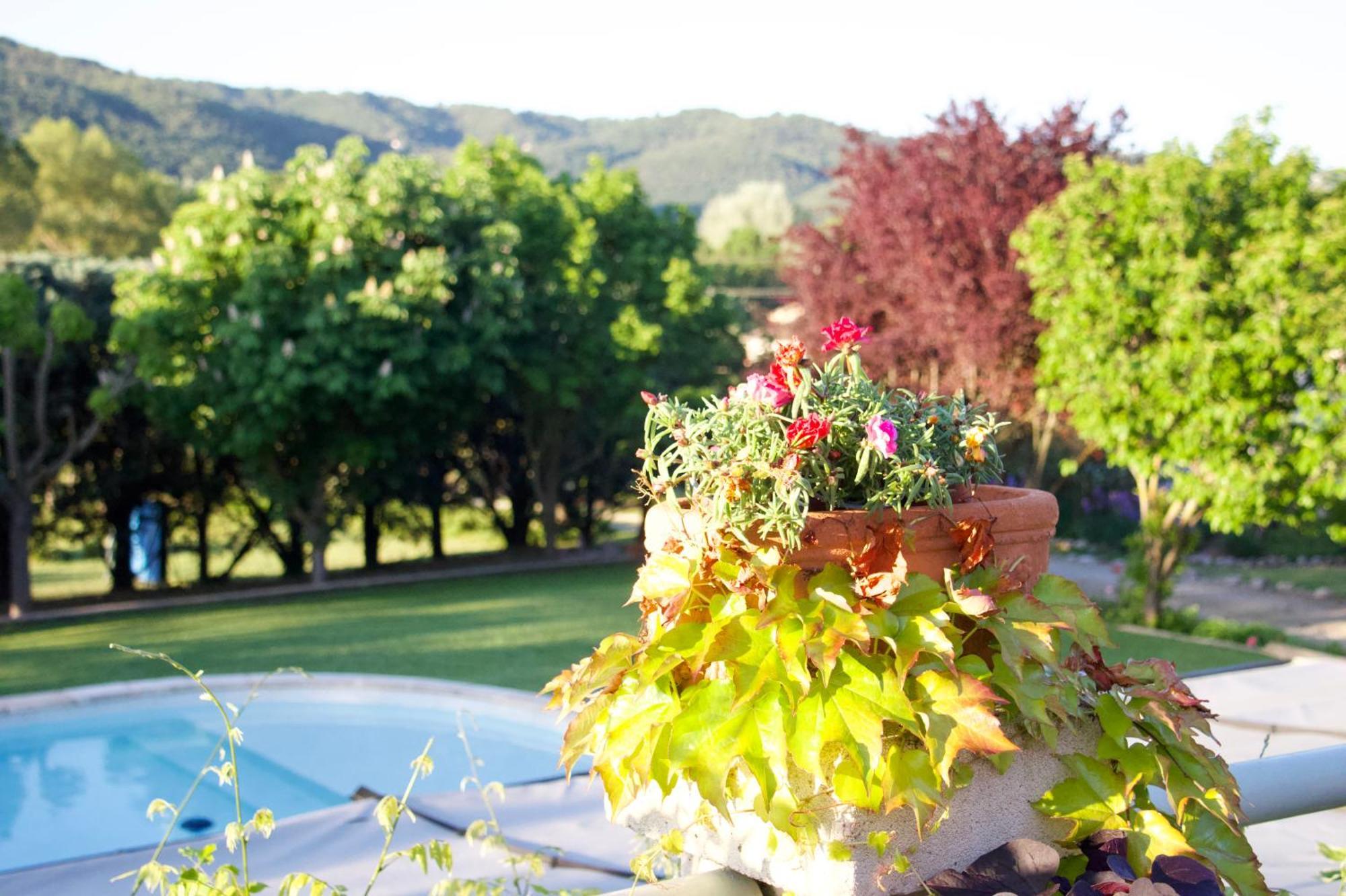 La Bastide Des Roses Bed and Breakfast Saint-Julien-d'Asse Buitenkant foto